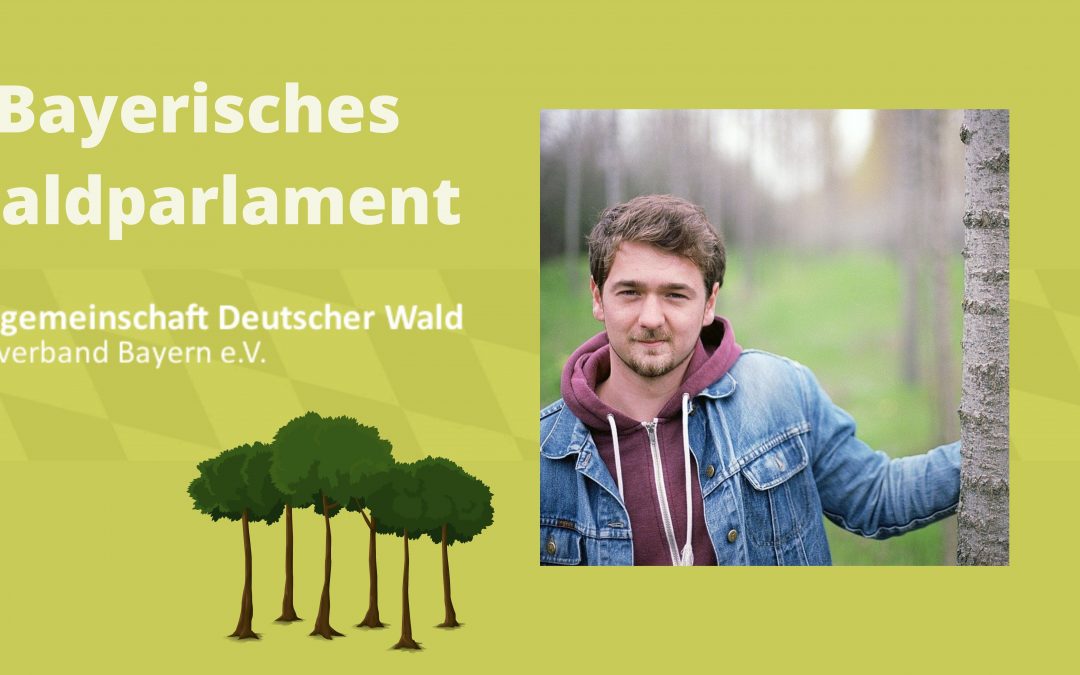 Das Waldparlament